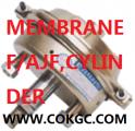 MEMBRANE F/AJF CYLINDER