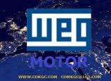 WEG MOTOR